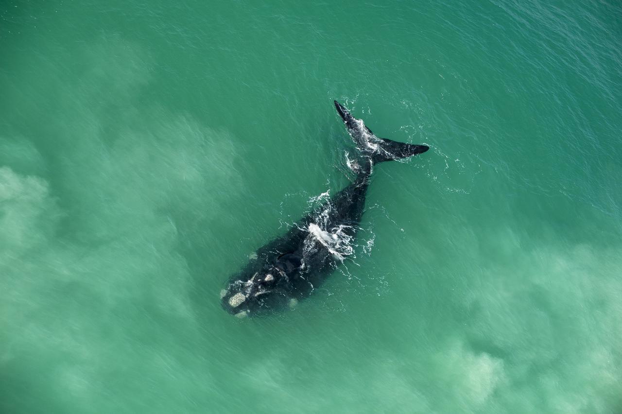 Morukuru Beach Lodge De Hoop Nature Reserve Luaran gambar