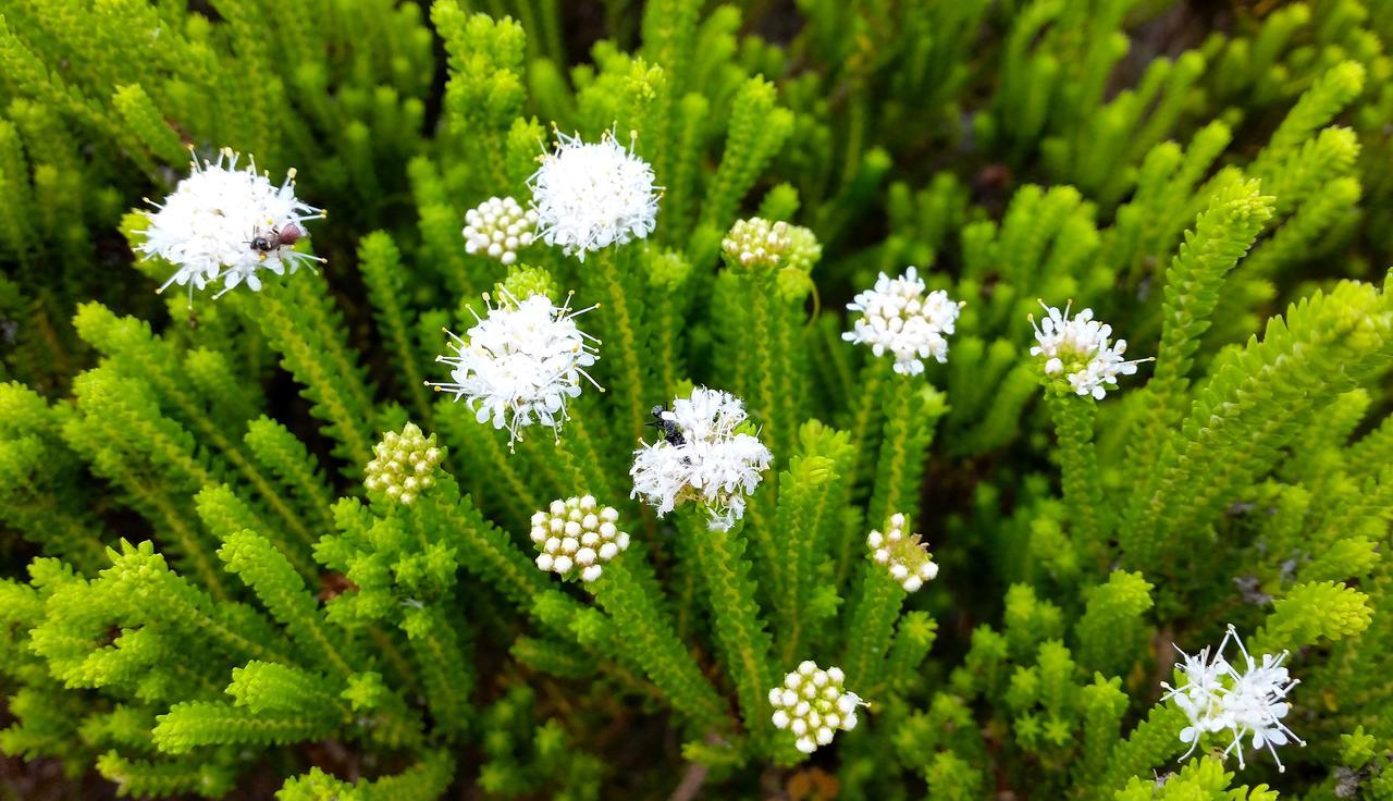 Morukuru Beach Lodge De Hoop Nature Reserve Luaran gambar