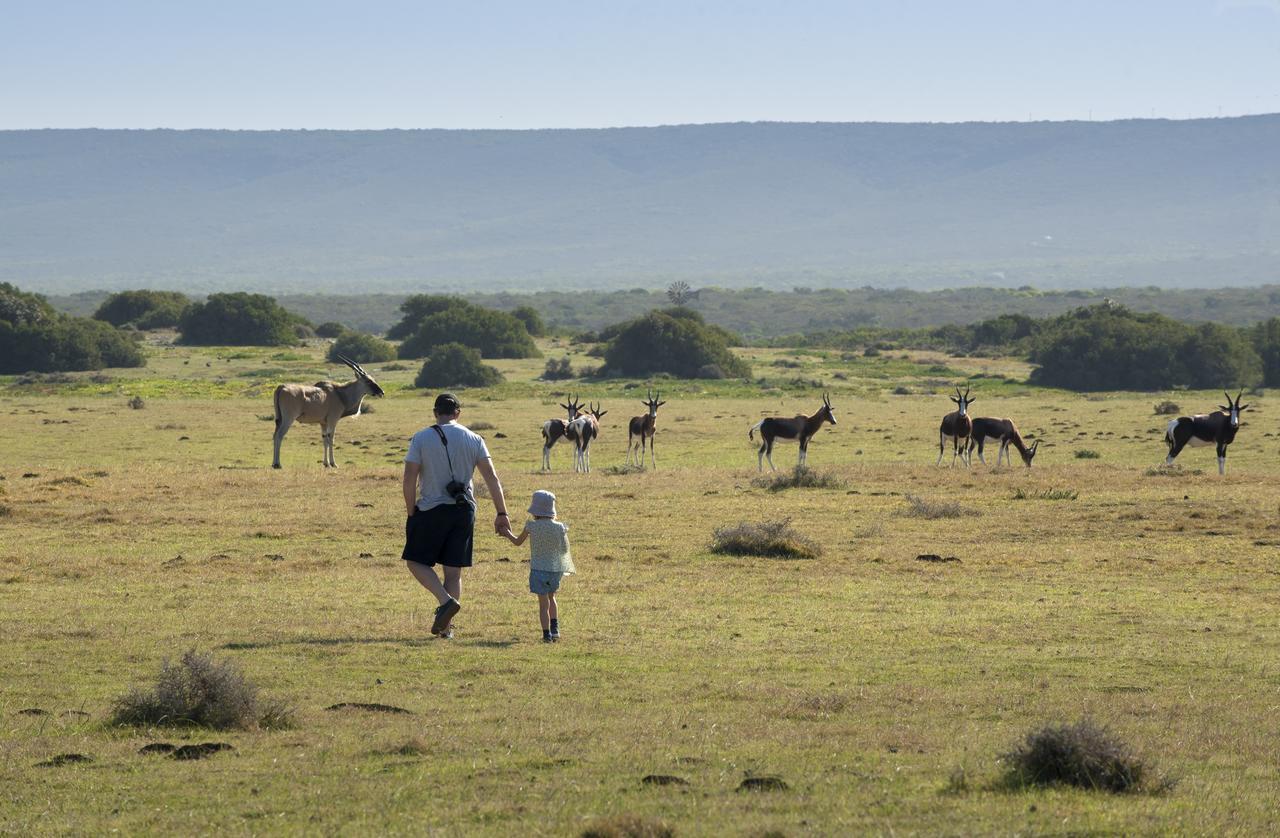 Morukuru Beach Lodge De Hoop Nature Reserve Luaran gambar