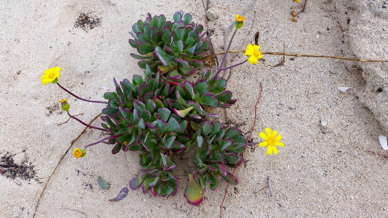 Morukuru Beach Lodge De Hoop Nature Reserve Luaran gambar