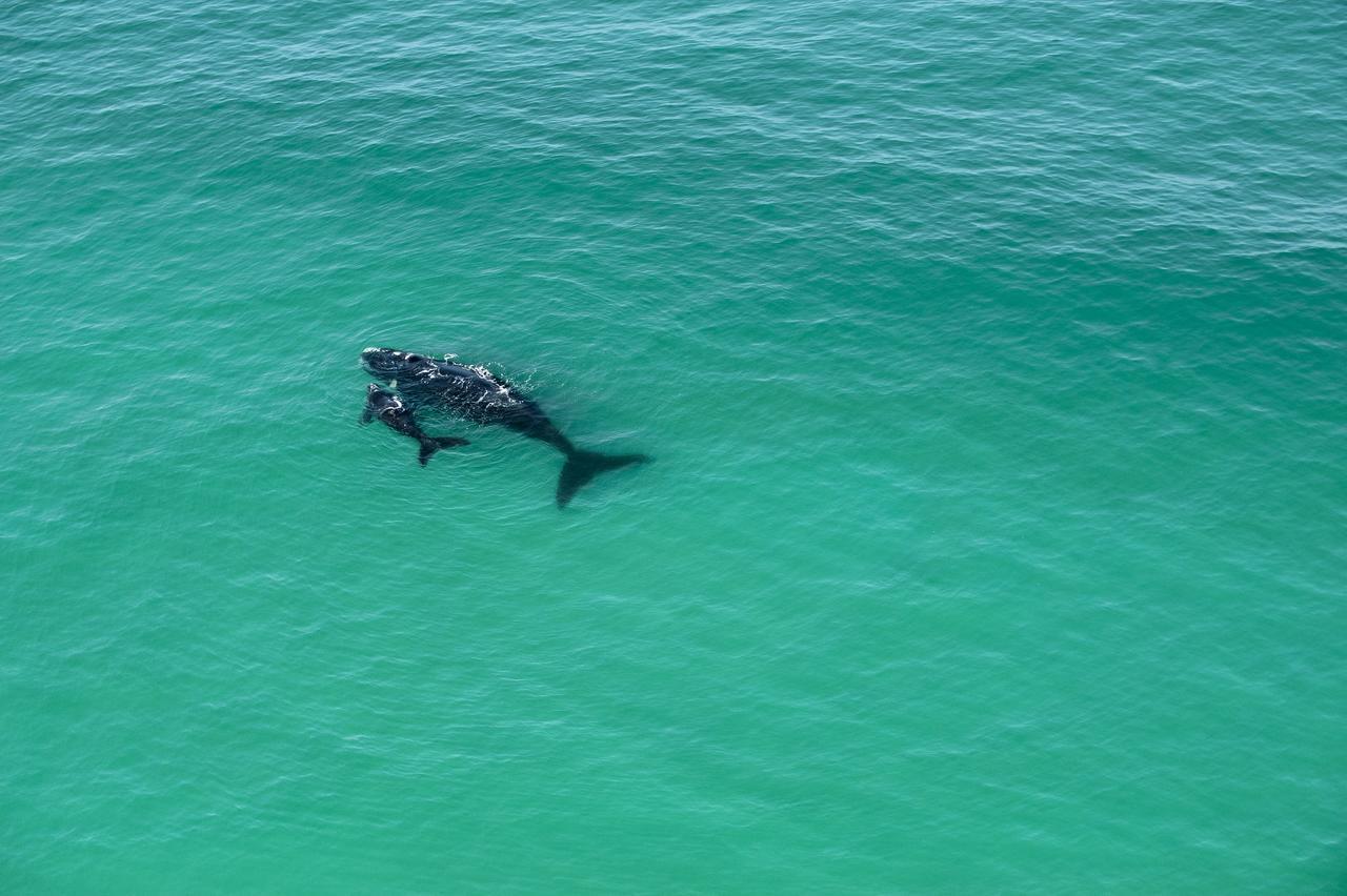 Morukuru Beach Lodge De Hoop Nature Reserve Luaran gambar